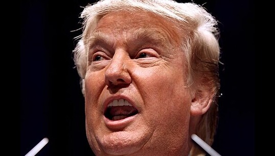 Image:President Trump issued a sweeping executive order stripping collective bargaining rights from many federal agency civilian employees. Image: Wikimedia Commons