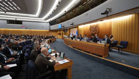 Image:The IMO sub-committee on Human Element, Training and Watchkeeping in February 2026, where we took members' concerns to the review of STCW training standards. Image:  IMO
