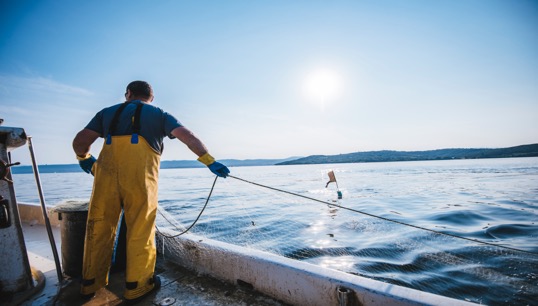 The Maritime and Coastguard Agency (MCA) will begin to carry out unannounced inspections of fishing vessels in order to try and reduce the fatalities at sea in the fishing industry. Image: Getty Images Image:The Maritime and Coastguard Agency (MCA) will begin to carry out unannounced inspections of fishing vessels in order to try and reduce the fatalities at sea in the fishing industry. Image: Getty Images