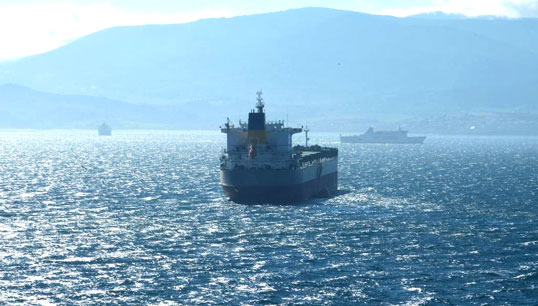 The Panama-flagged bulk carrier Ilia captured on a voyage in 2015 by Ships In Pictures. Image: Twitter. Image:The Panama-flagged bulk carrier Ilia captured on a voyage in 2015 by Ships In Pictures. Image: Twitter.