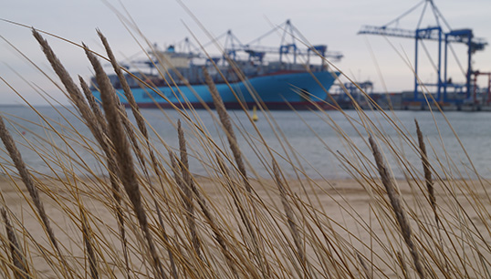 Danish union Metal Maritime says that Maersk illegally forbade its seafarers from going ashore in their leisure time during the Covid pandemic. Image: Getty Images Image:Danish union Metal Maritime says that Maersk illegally forbade its seafarers from going ashore in their leisure time during the Covid pandemic. Image: Getty Images