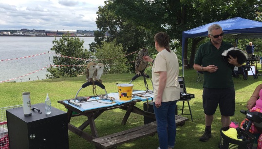 Three owls and a skunk were a novel attraction for residents and visitors at the at the Nautilus Mariners' Park Summer Fayre. Images: Nautilus International Image:Three owls and a skunk were a novel attraction for residents and visitors at the at the Nautilus Mariners' Park Summer Fayre. Images: Nautilus International