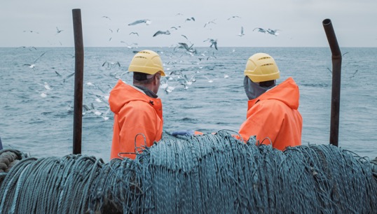 The ETF fights for the social security rights of seafarers working on vessels under the Madeira and Cyprus flags. Image: Getty Images Image:The ETF fights for the social security rights of seafarers working on vessels under the Madeira and Cyprus flags. Image: Getty Images
